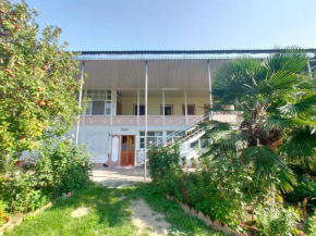 ArzuShekiHouse
